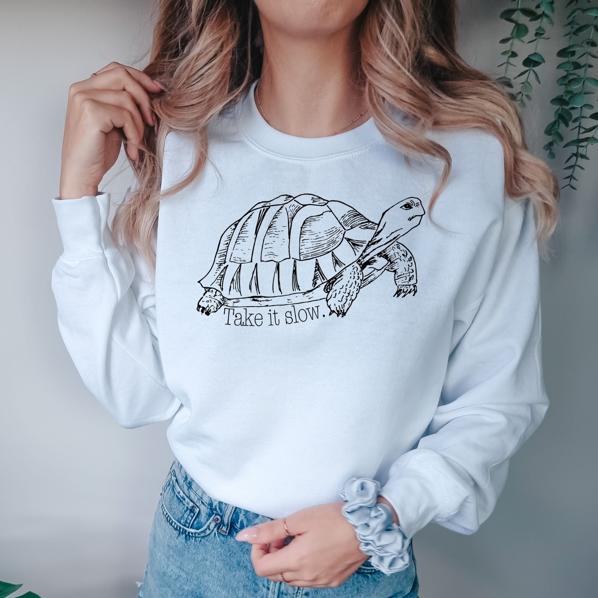 Take It Slow Funny Turtle Shirt Gildan Crewneck or Hoodie Sweatshirt *UNISEX FIT*-Sweatshirts-208 Tees Wholesale, Idaho