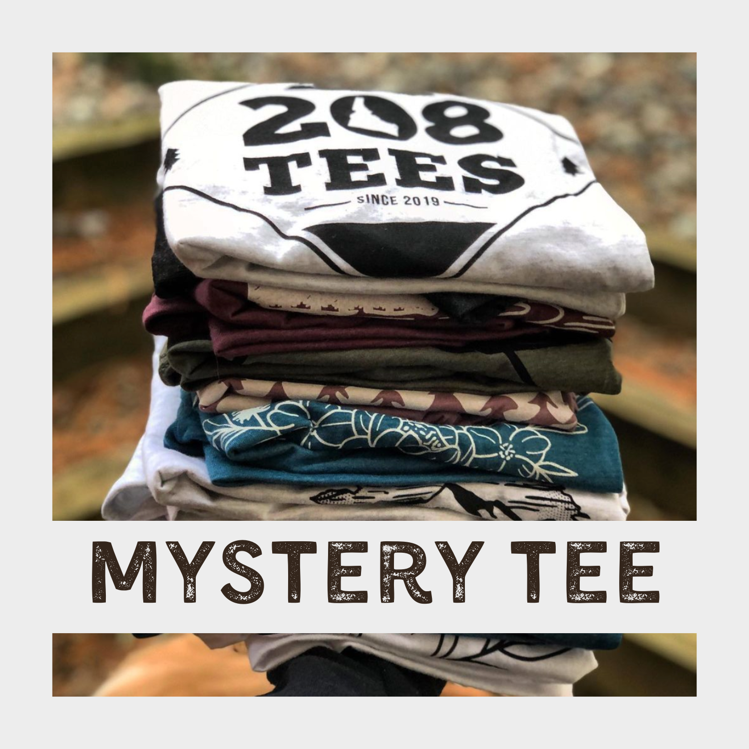 Mystery TShirt-Graphic Tees-208 Tees Wholesale, Idaho