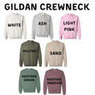 Be A Nice Human Crewneck or Hoodie Sweatshirt *UNISEX FIT*-Sweatshirts-208 Tees Wholesale, Idaho